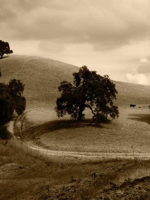 Architecture mood pack