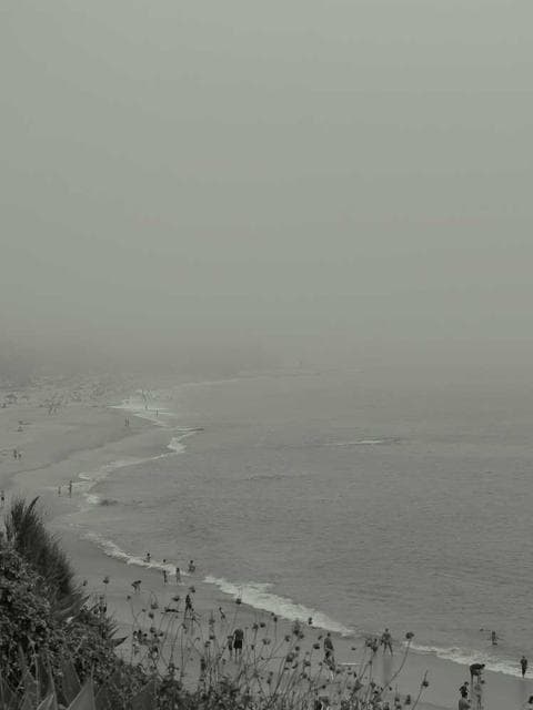 Procreate brushes vol. 3