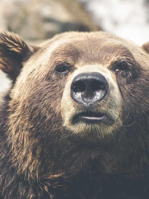 Free LUT — Soft Cinematic