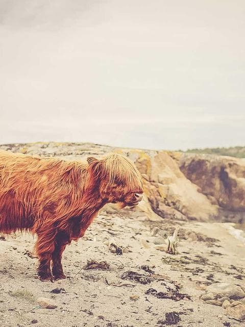 3D asset pack: Liminal Spaces