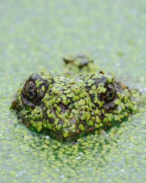 First studio shot at the new place — what do you think?