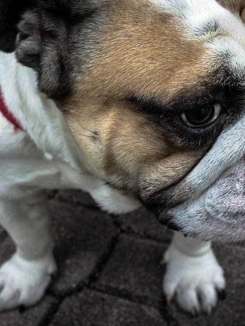 Editorial photoshop actions