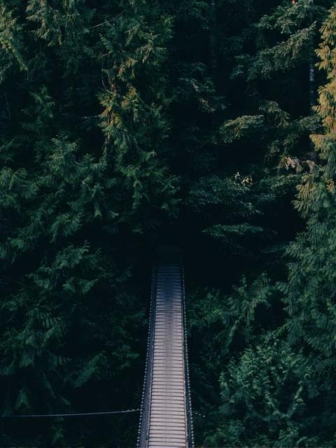 Wedding film LUTs (drop)