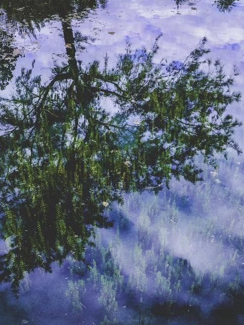 Newsletter masterclass — drop