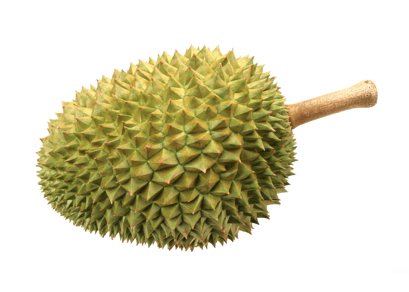 durian.png